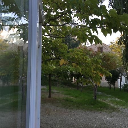 Camping Les Orangers San-Martino-di-Lota Quarto foto